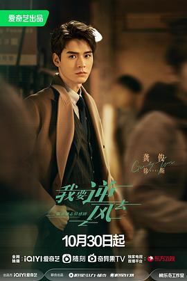 知名网站搜索排名优化